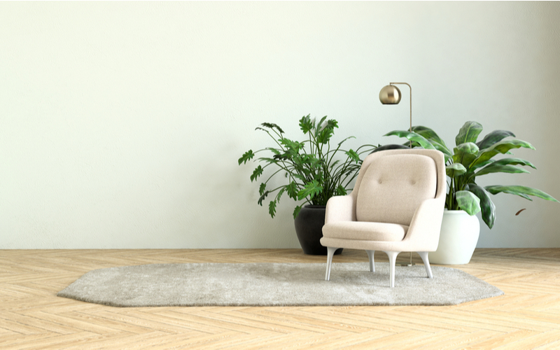 Simple and Affordable Home Decor Ideas