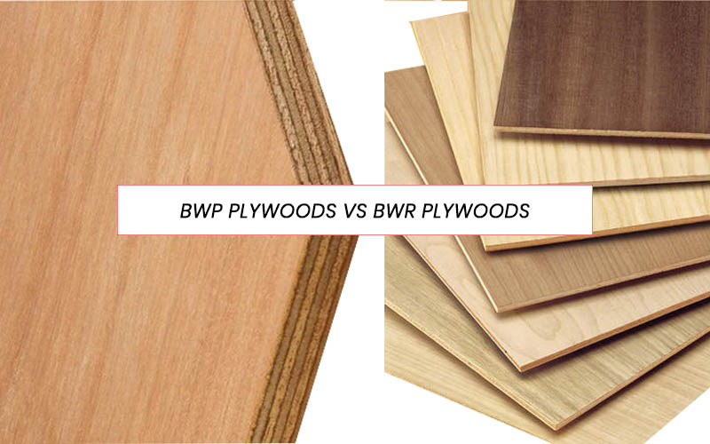 What Is The Difference Between BWP & BWR Plywood ZAD Interiors