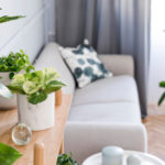 Take Care of Your Indoor Plants