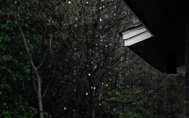 14 Home Care Tips For Monsoon Season