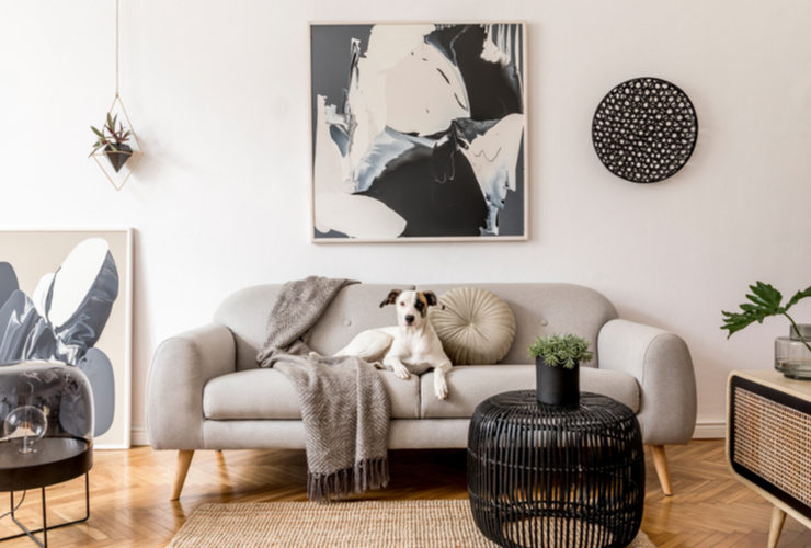 Sofa Design For Your Living Room