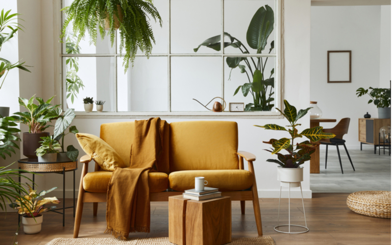 Yellow and Neutrals Living Room