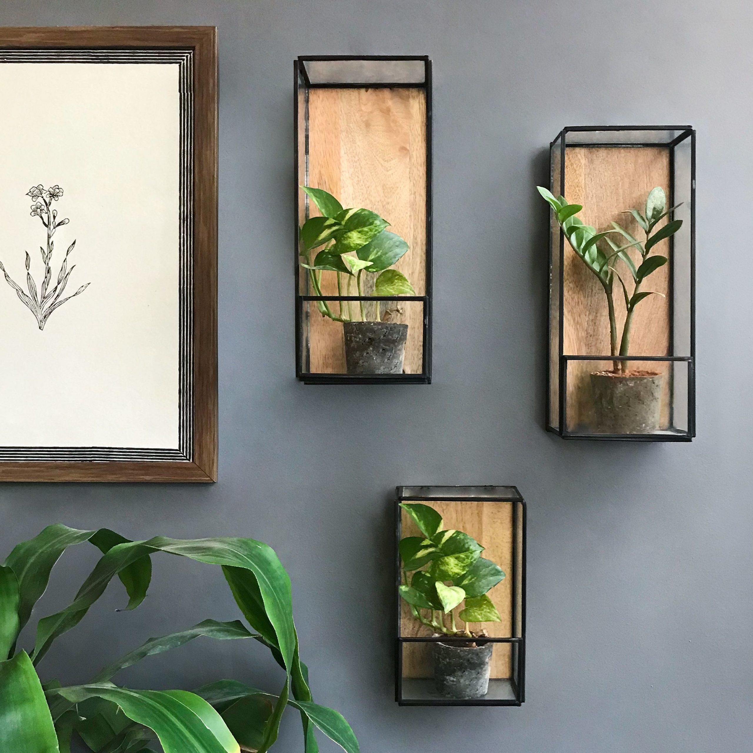 Use Wall-mounted Planters