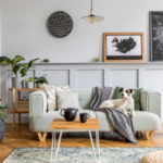 Budget-friendly Living Room Accessories