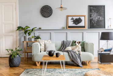 Budget-friendly Living Room Accessories