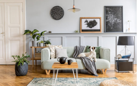 Budget-friendly Living Room Accessories