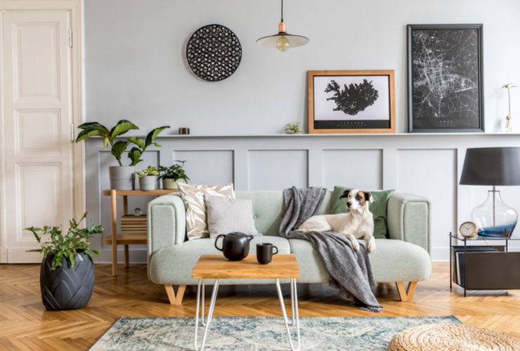 Budget-friendly Living Room Accessories